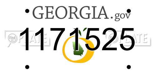 1171525 Georgia License Plate