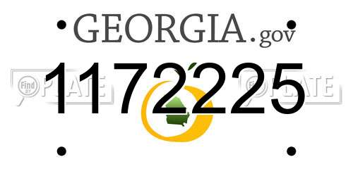 1172225 Georgia License Plate