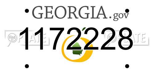 1172228 Georgia License Plate