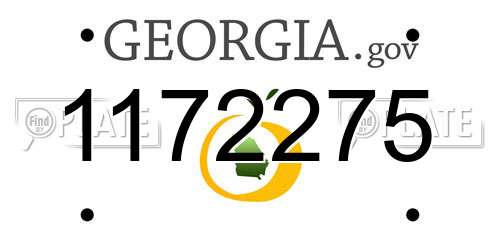 1172275 Georgia License Plate