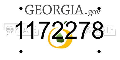 1172278 Georgia License Plate