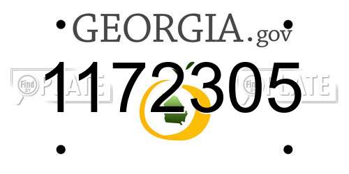 1172305 Georgia License Plate