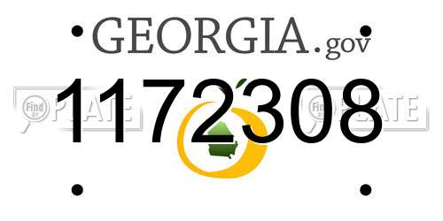 1172308 Georgia License Plate