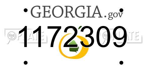 1172309 Georgia License Plate