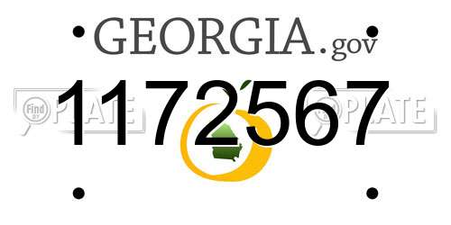 1172567 Georgia License Plate