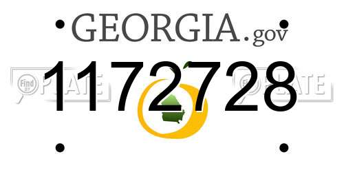 1172728 Georgia License Plate