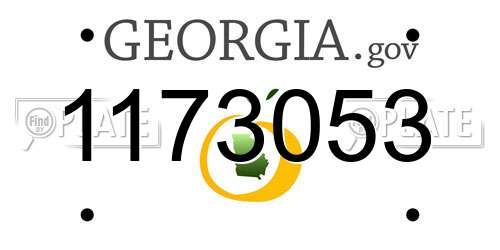 1173053 Georgia License Plate