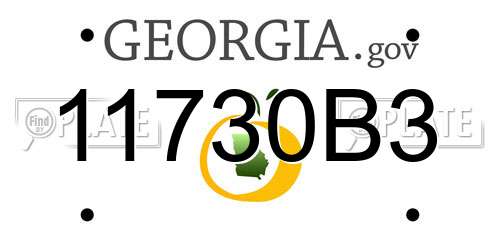 11730B3 Georgia License Plate