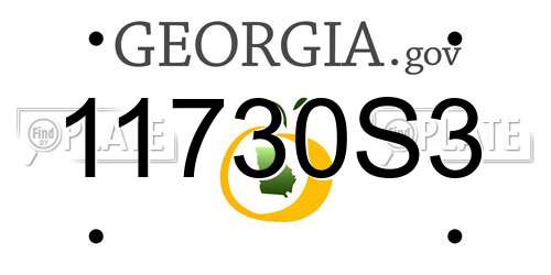 11730S3 Georgia License Plate