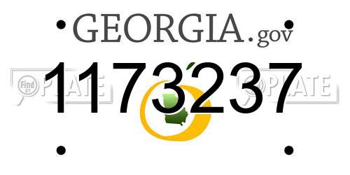 1173237 Georgia License Plate