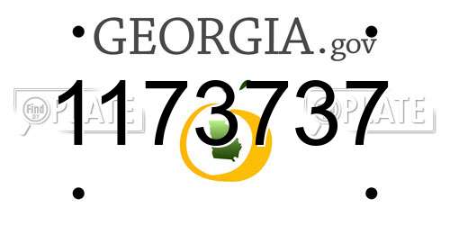 1173737 Georgia License Plate