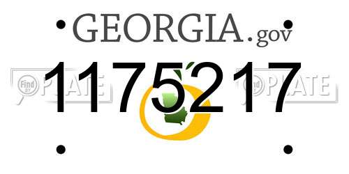 1175217 Georgia License Plate