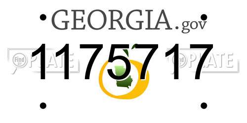 1175717 Georgia License Plate