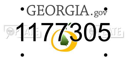 1177305 Georgia License Plate