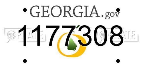 1177308 Georgia License Plate