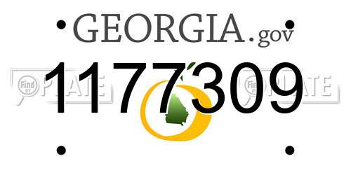 1177309 Georgia License Plate