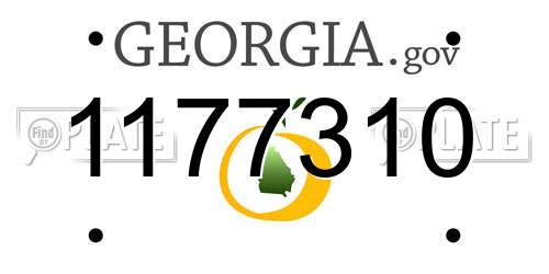 1177310 Georgia License Plate
