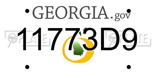 11773D9 Georgia License Plate