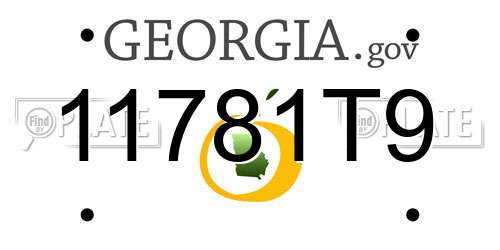 11781T9 Georgia License Plate
