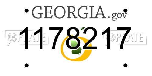 1178217 Georgia License Plate