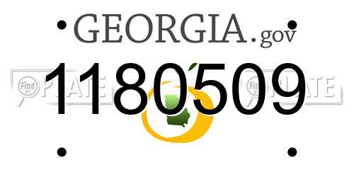 1180509 Georgia License Plate