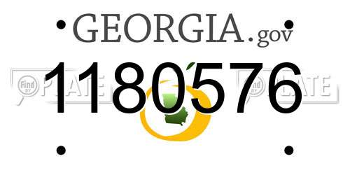 1180576 Georgia License Plate