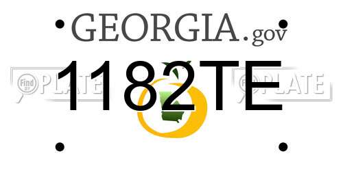 1182TE Georgia License Plate