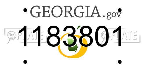 1183801 Georgia License Plate