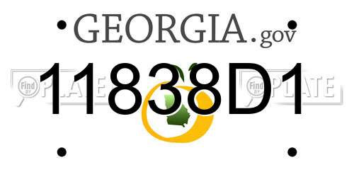 11838D1 Georgia License Plate