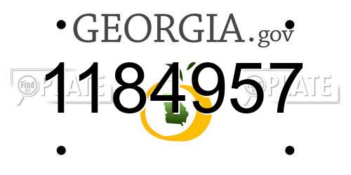 1184957 Georgia License Plate
