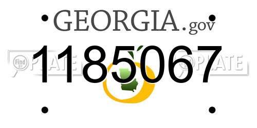 1185067 Georgia License Plate