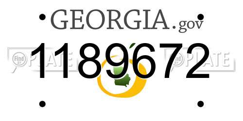 1189672 Georgia License Plate