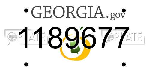 1189677 Georgia License Plate