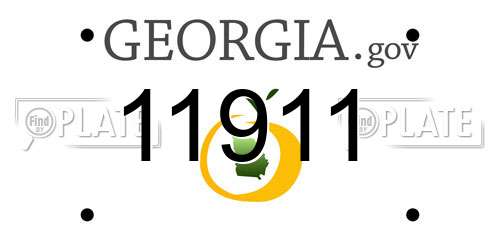 11911 Georgia License Plate