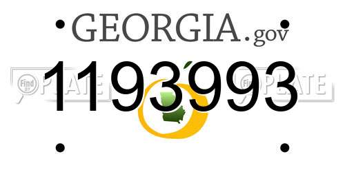 1193993 Georgia License Plate
