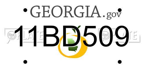 11BD509 Georgia License Plate