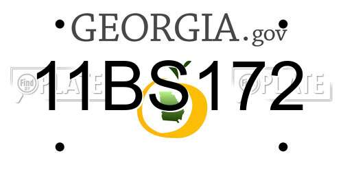 11BS172 Georgia License Plate