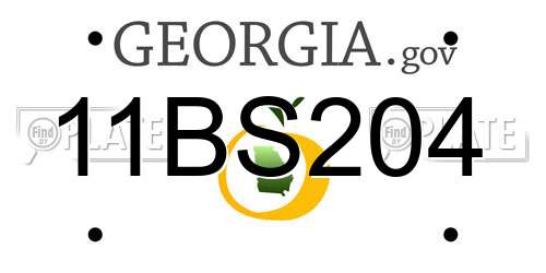 11BS204 Georgia License Plate