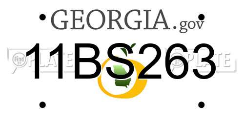 11BS263 Georgia License Plate