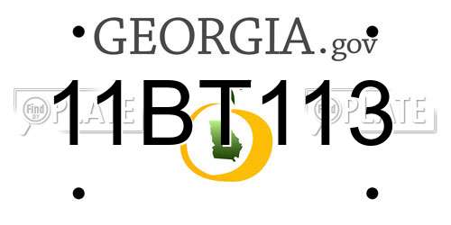 11BT113 Georgia License Plate