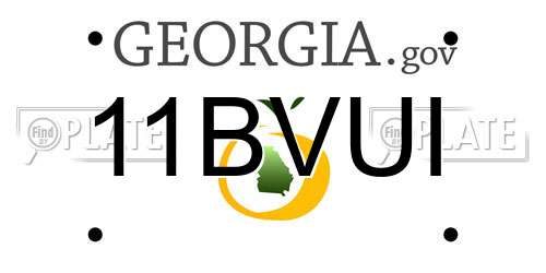 11BVUI Georgia License Plate