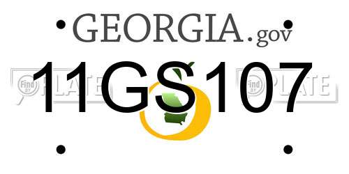 11GS107 Georgia License Plate