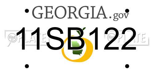 11SB122 Georgia License Plate
