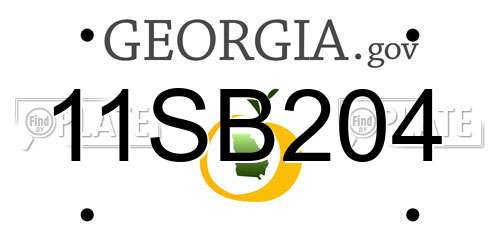 11SB204 Georgia License Plate