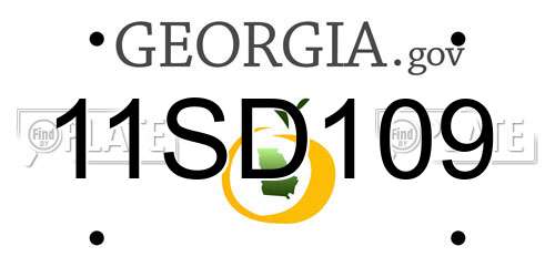 11SD109 Georgia License Plate