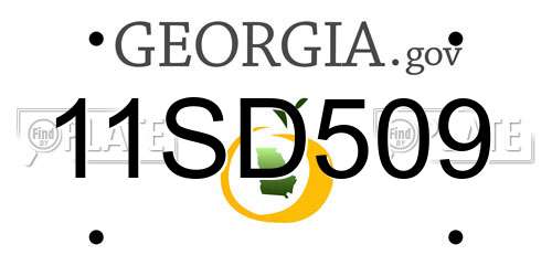 11SD509 Georgia License Plate
