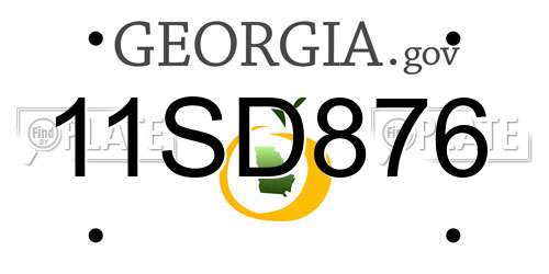 11SD876 Georgia License Plate