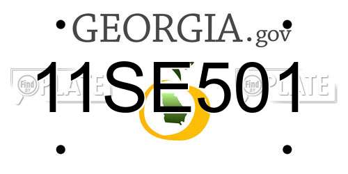 11SE501 Georgia License Plate