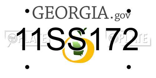 11SS172 Georgia License Plate