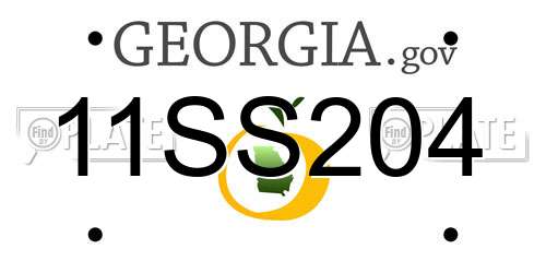 11SS204 Georgia License Plate